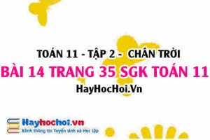 Bài 14 trang 35 Toán 11 tập 2 Chân trời sáng tạo: Biểu Diễn Công Thức Lôgarit & Mũ